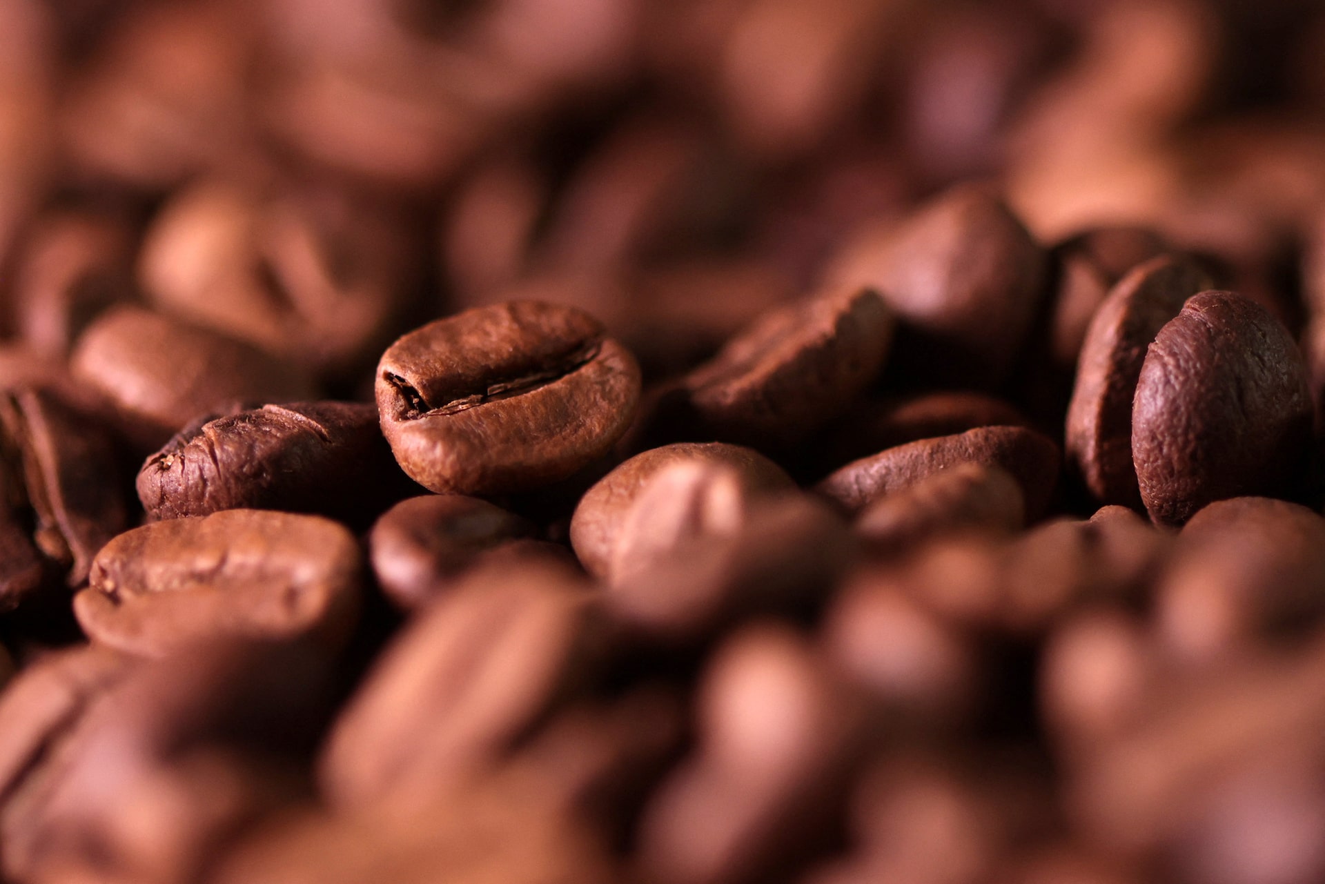 ブラジルの2025年コーヒー輸出、156億ドルで過去最高