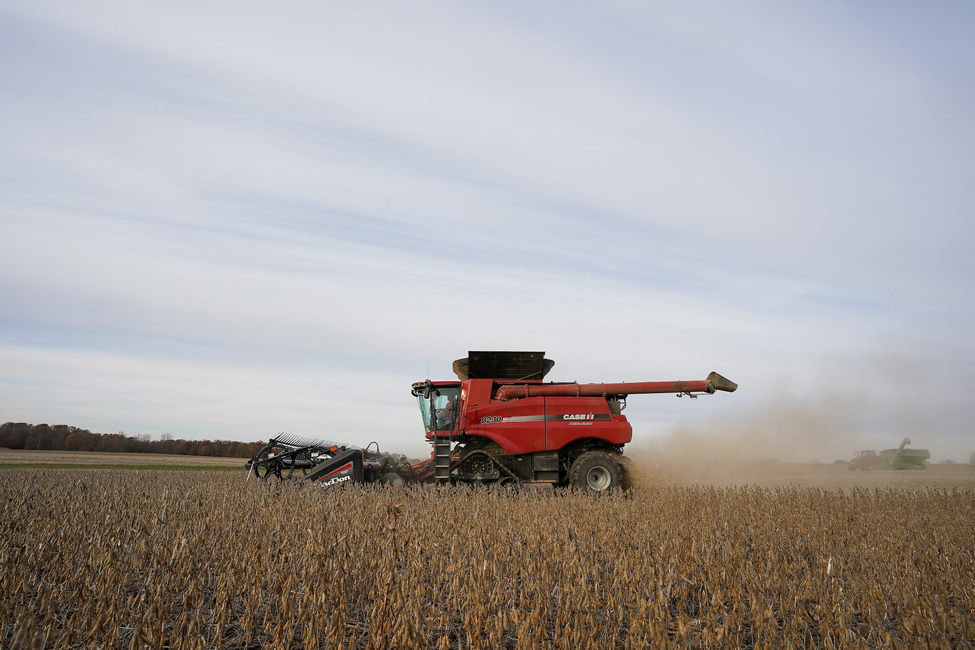 中国の大豆輸入、米国シェア15％に低下　南米産にシフト