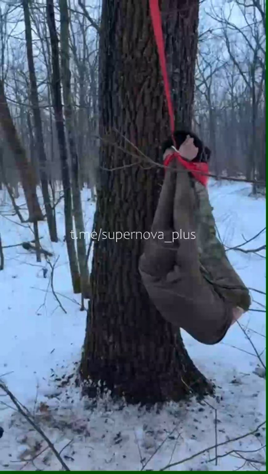 ロシアの侵略者が部下をディルドで「懲らしめる」一方、同志は脱走の罰として縛られ木に吊るされている。第128独立電動ライフル旅団。 2026 年 1 月 31 日に公開。