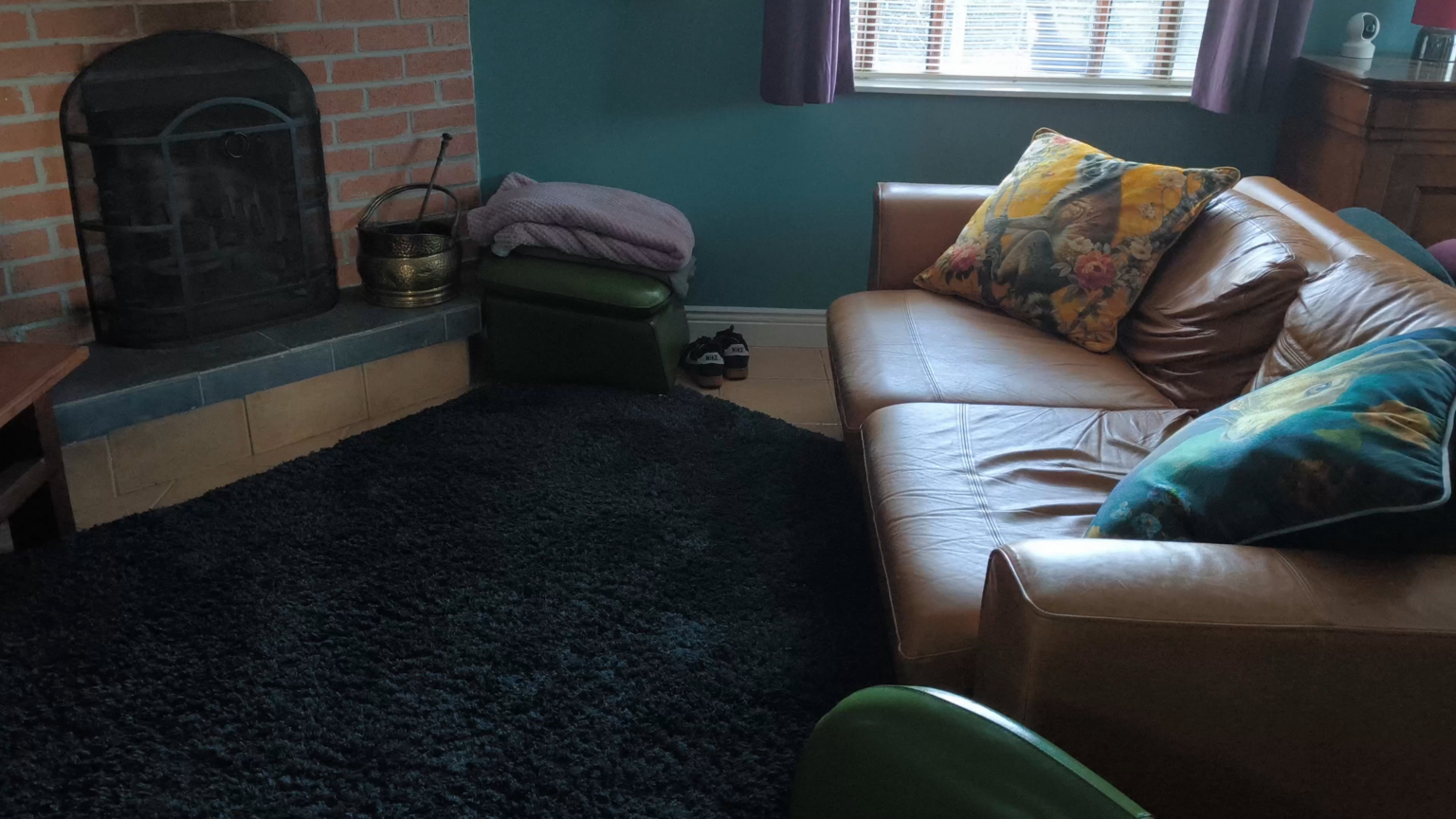 リートリムのパイン・マーテンの隣人 リートリムのパイン・マーテンの隣人