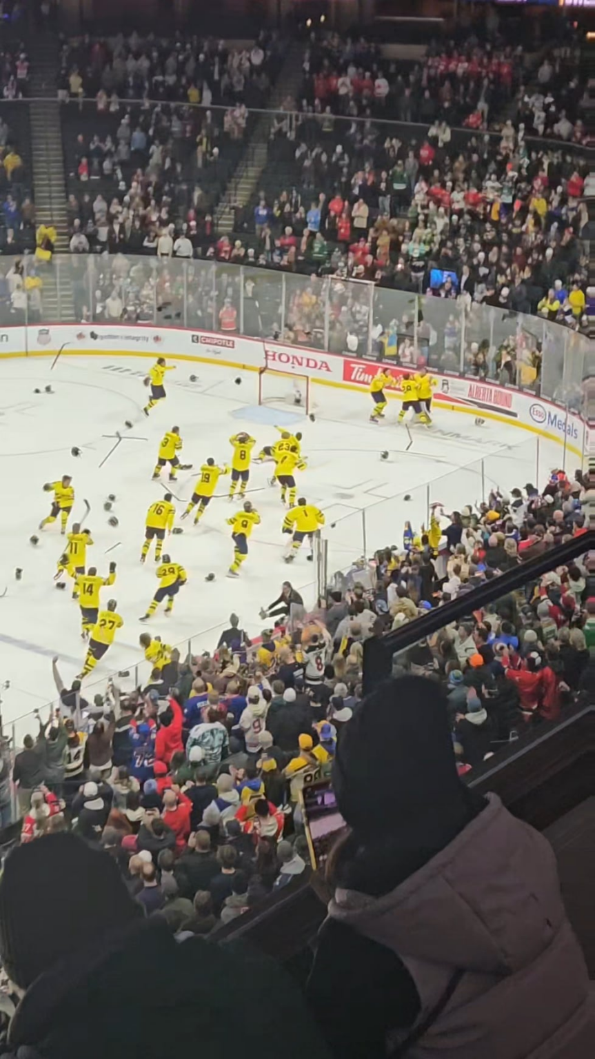 頑張れスウェーデン！