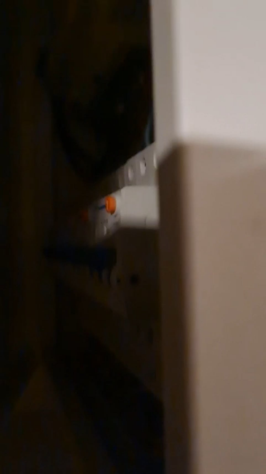 ヒューズボックスでブーンという音 - アドバイスが必要です