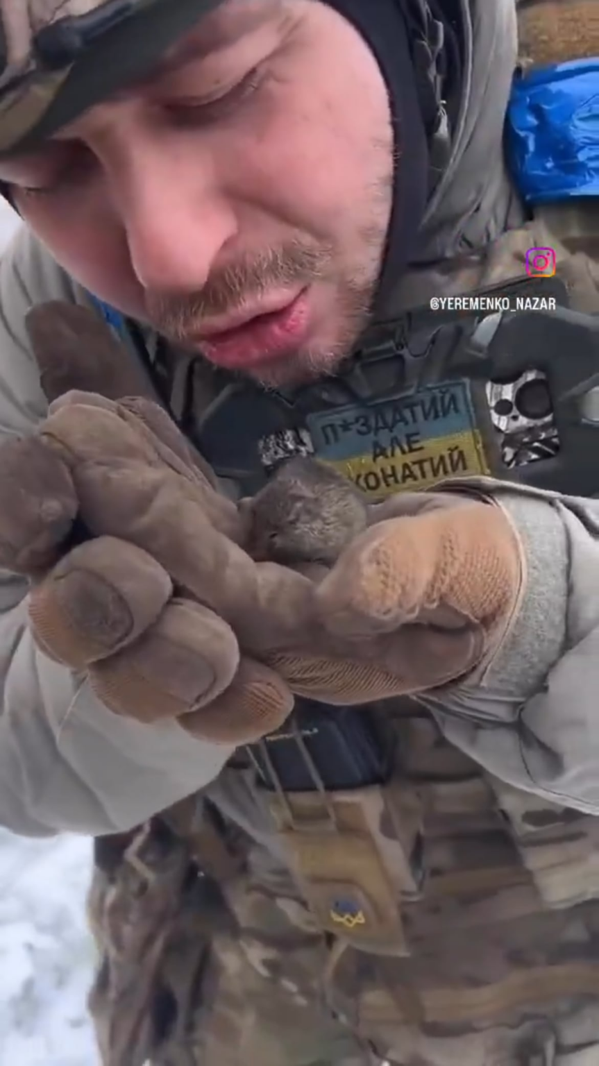 ウクライナの気温はマイナス20℃です。このディフェンダーは、小さなネズミを撫でたり、温めたりしながら、なんと美しく優しいことでしょう。ウクライナ人にとって、どんな命も大切です。寒くて暗闇の中でも、このようなたくさんの親切な行為によって彼らの光は輝きます。