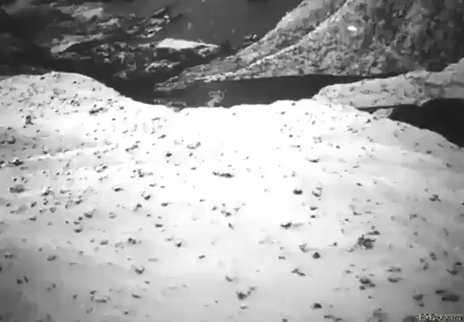 ノルウェーのノルドグレンフィヨルドでドイツ船を攻撃する英国航空機。 1944 年 12 月 5 日