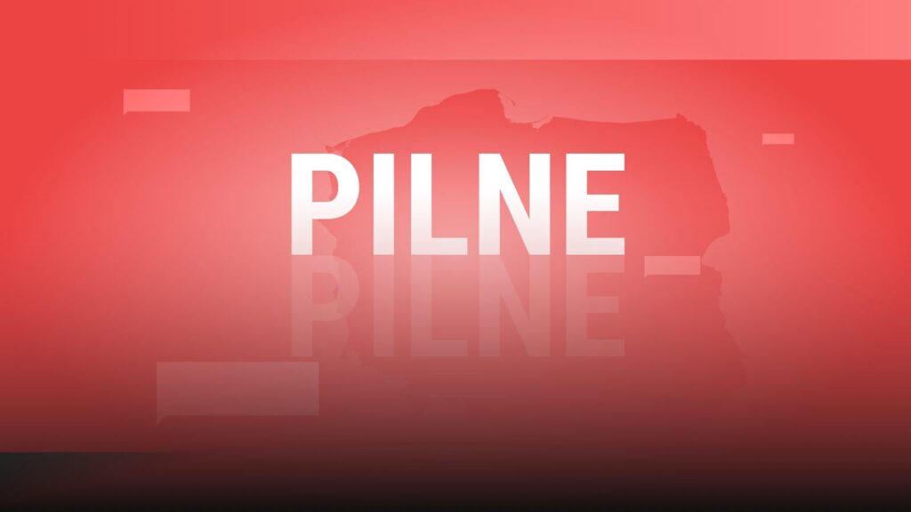 メディア: トランプ大統領はプーチン大統領、オルバン氏、ルカシェンコ氏とともにナウロッキ氏を和平会議に招待した