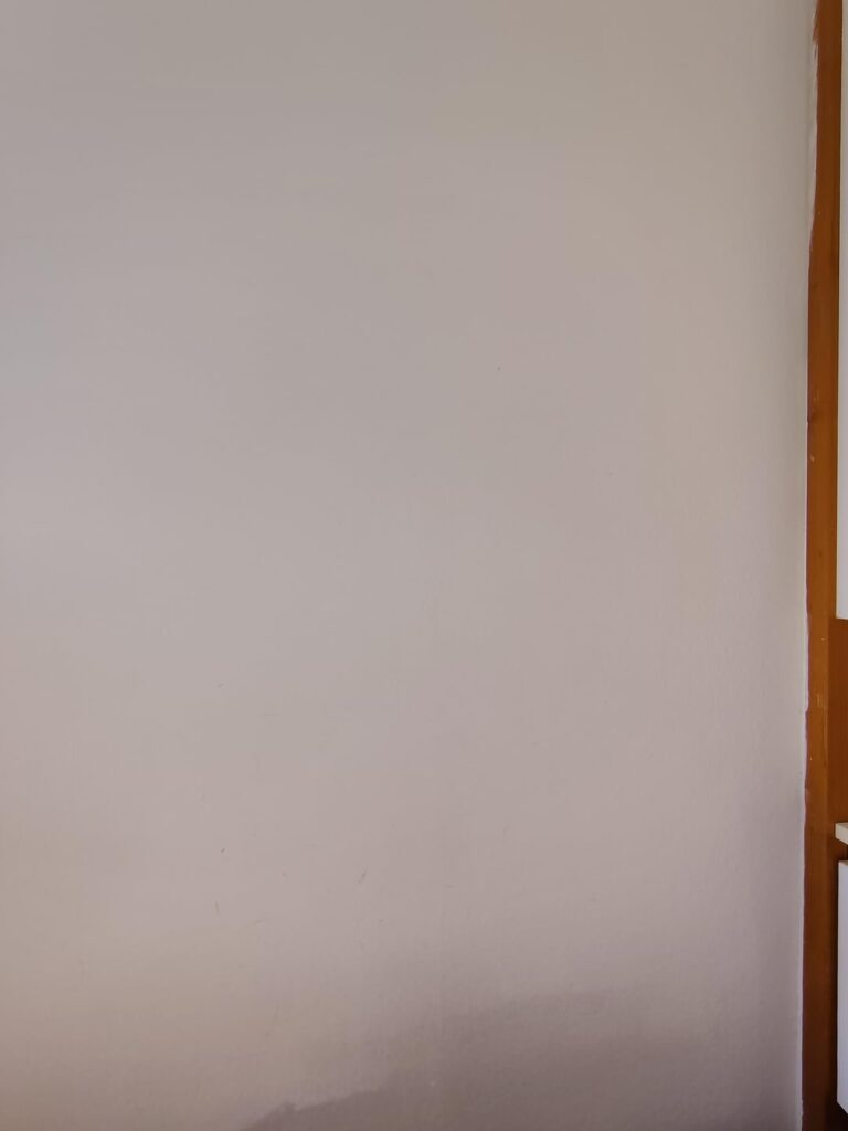 カビか何かの始まりでしょうか？