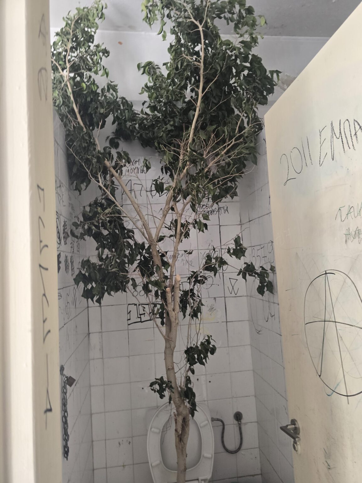 キプロスの平均的な一日 エンバジムナシオ