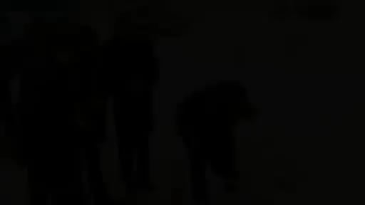 バンディッチの活躍
