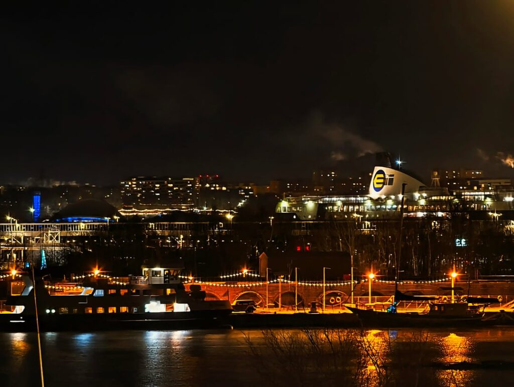 タリンからのランダムな写真。アヒル 4