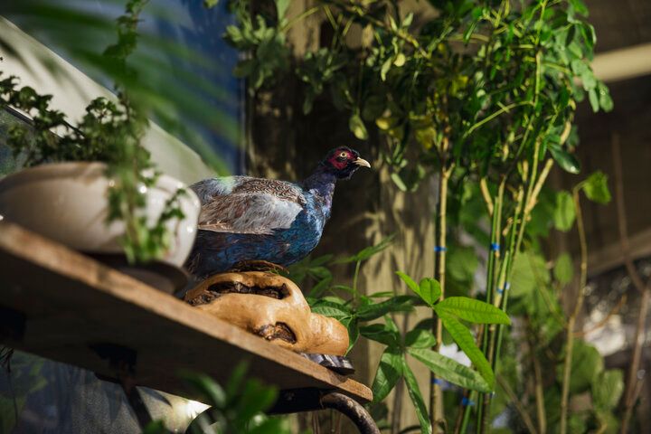 緑に囲まれた空間が非日常を誘う、山形「つち」で癒しのひと時を