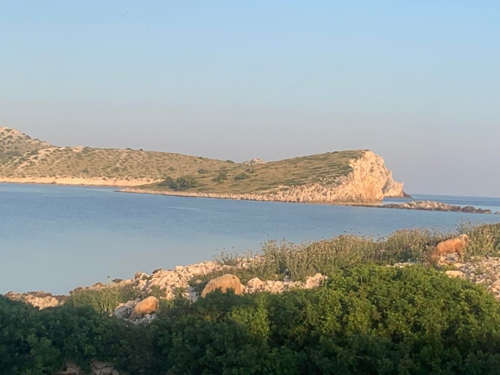 去年の旅行の写真:3