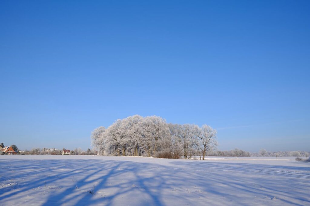 ドイツでの最初の冬は魔法のようでした