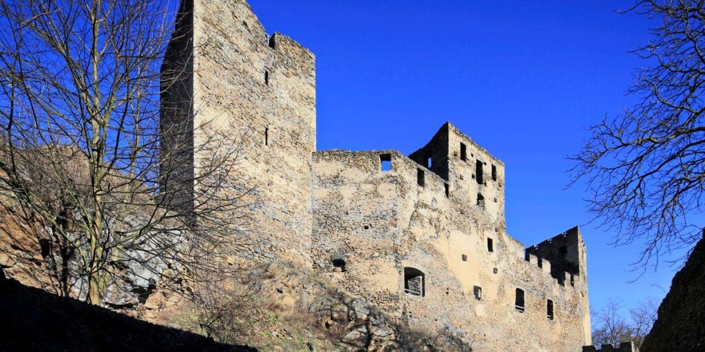 FPÖ市議会議員ルネ・スキマネクの家で発見された58点のナチスの寄せ集め品