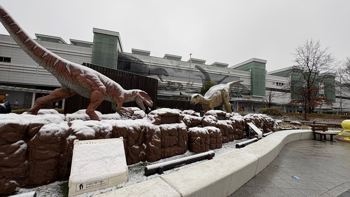 嶺北南部を中心に大雪　南越前町今庄で積雪40センチ　3日明け方にかけ、山地を中心に大雪警戒　