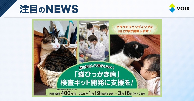 山口大学が開発中の「猫ひっかき病」迅速検査キットで安心な猫との生活を実現
