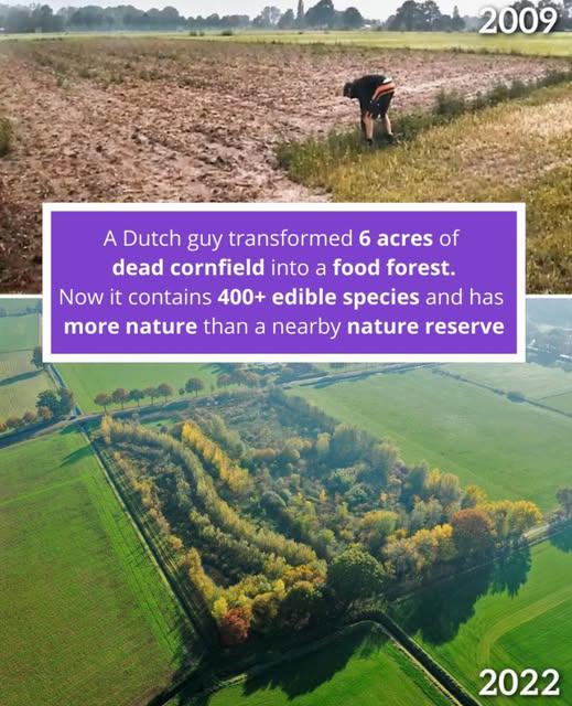 この食の森がどこにあるのか知っている人はいますか？