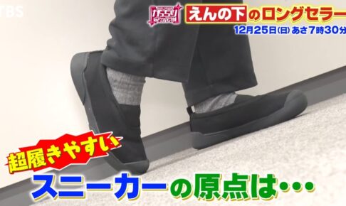 がっちりマンデー!!福岡県久留米市ムーンスターのスニーカー 810s EDUを放送！