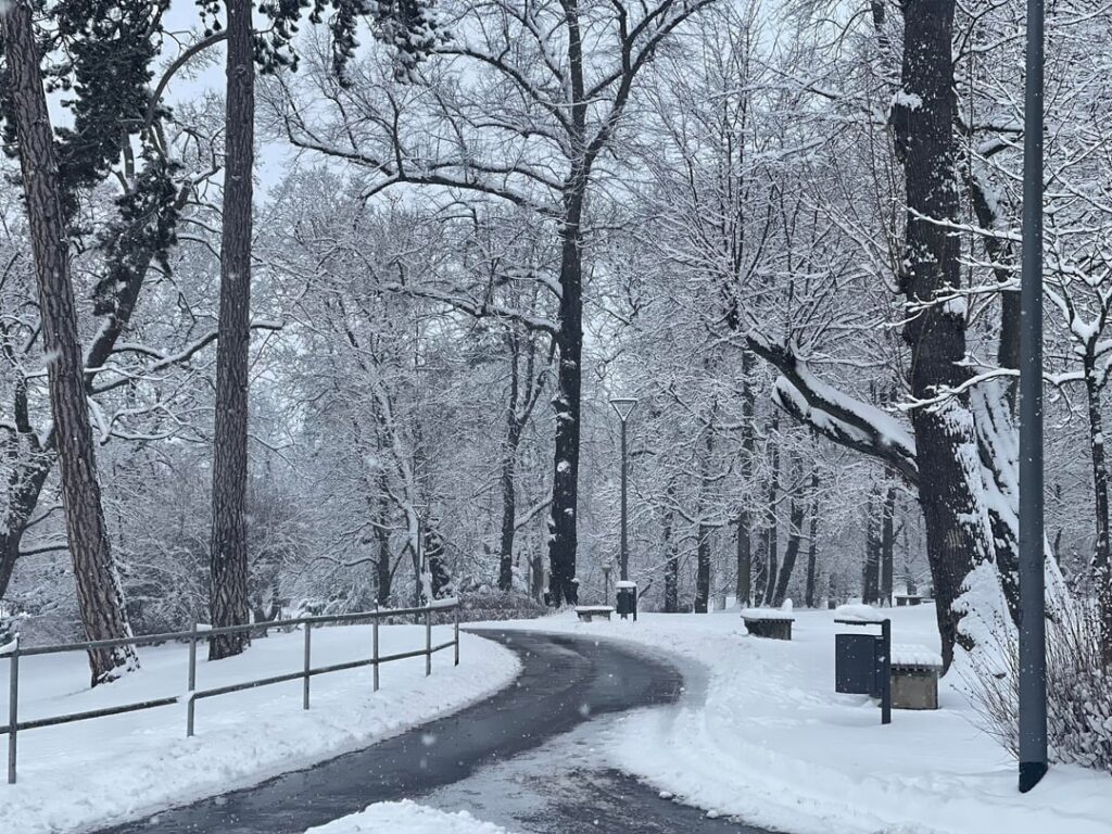雪のクリスマスをリクエストしたのに発送が1か月遅れたとき