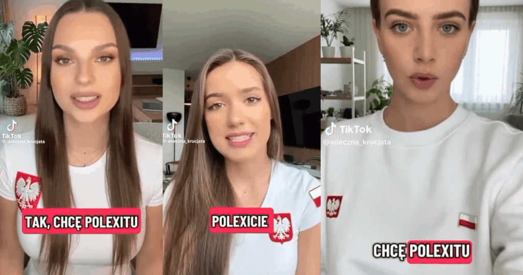 ポーランド、「Polexit」を求めるAI生成TikTok動画に対するEUの行動を求める