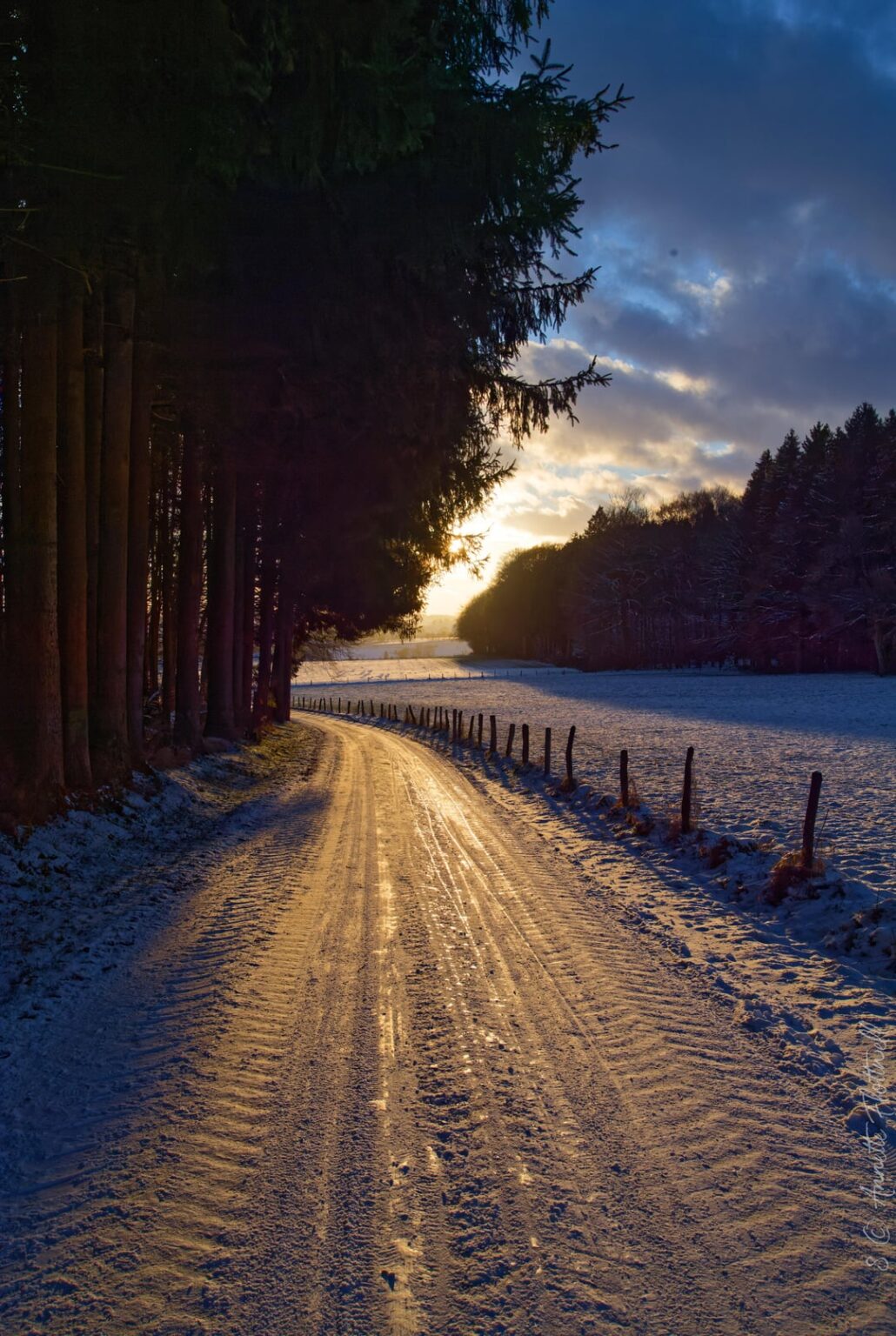 イセレクの低い冬の太陽