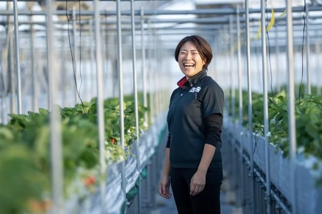 2024年問題を突破する「貨客混載」　いちごが描く宮崎・福岡の食物流革新