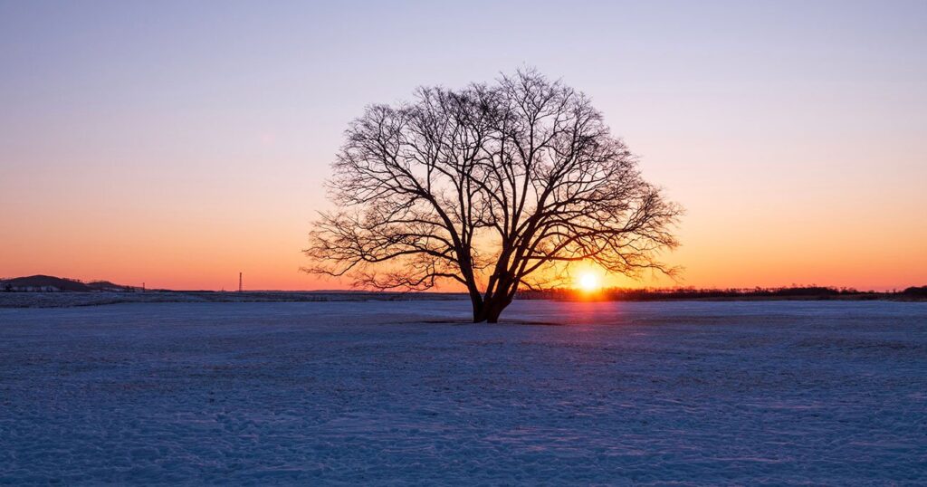 なぜ美食家たちは、北海道・十勝の“過疎の地”に殺到しているのか | 日本人の9割は知らない 世界の富裕層は日本で何を食べているのか？ | ダイヤモンド・オンライン