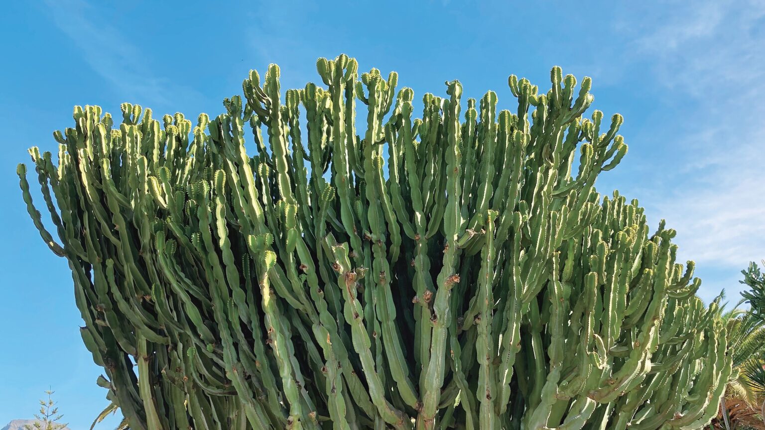 人生の目標は｢何かを成し遂げること｣ではない…50代女性がコンビニのない街で見つけた人生の本当の意味 | PRESIDENT WOMAN Online（プレジデント ウーマン オンライン）