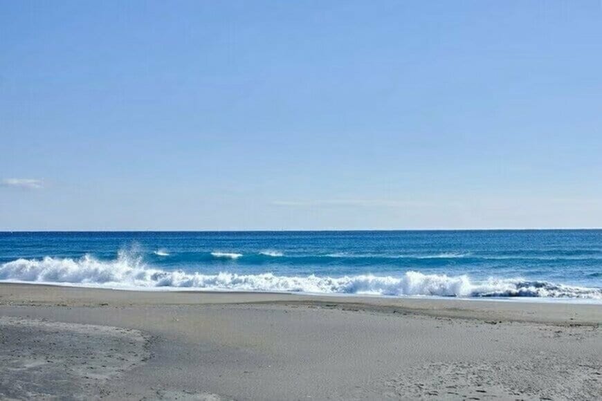 茨城県の波打ち際で拾った「謎の物体」に目を疑う　その正体にさまざまな推測が寄せられる