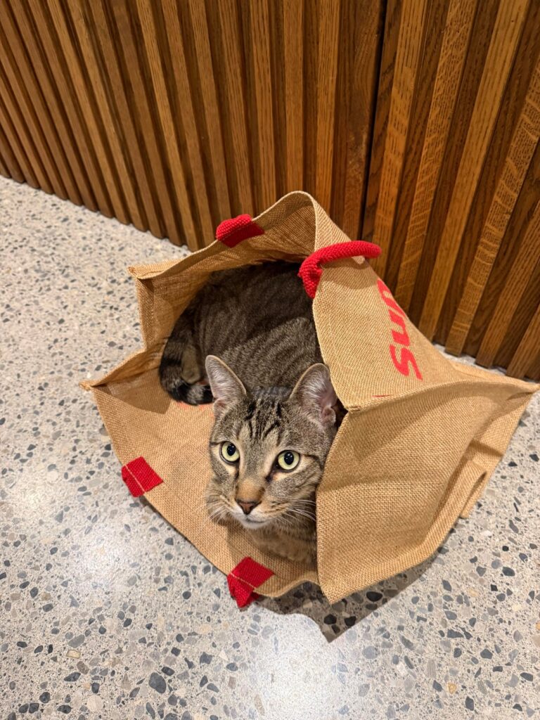 スーパーバリュキャット