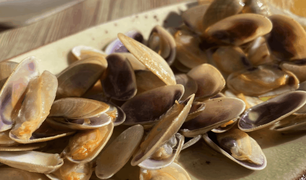 バレンシア、カバニャルのテリーナ