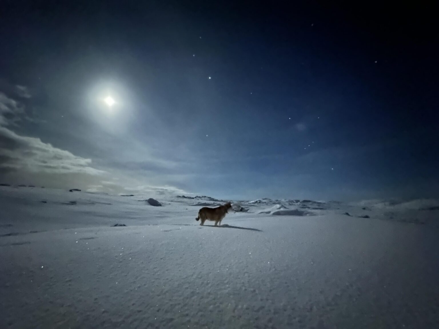 ナイトモード、ハンドヘルド