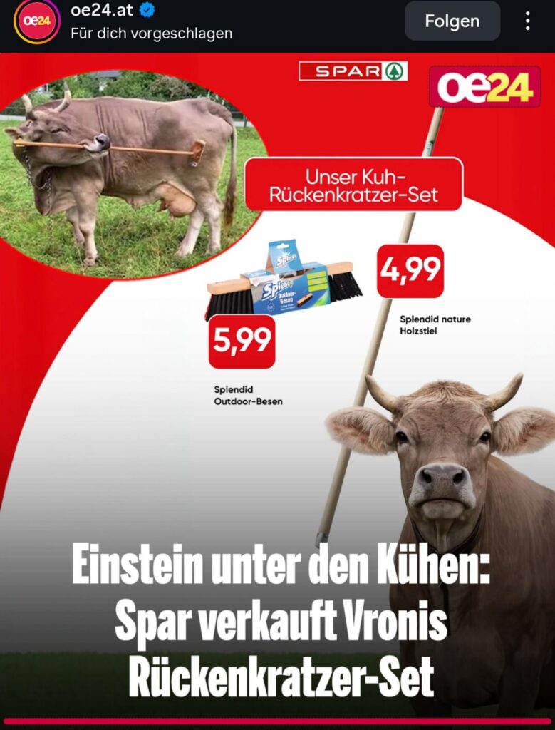 それは恥ずべきことでしょうか？