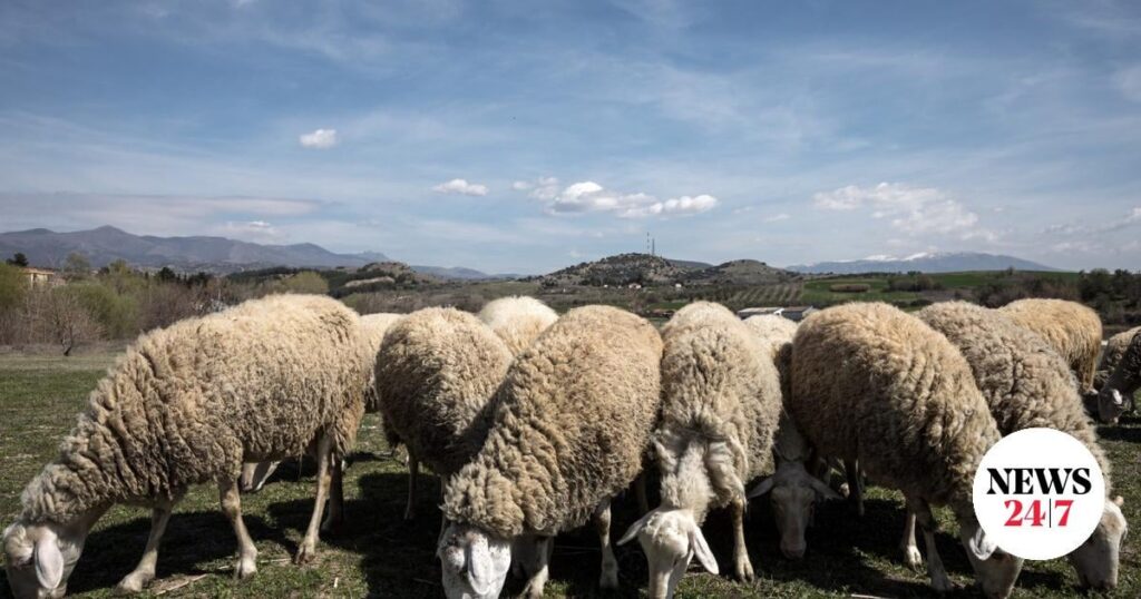 H. モスコス: 「天然痘ワクチンに関する真実は政府の発言とは何の関係もない」