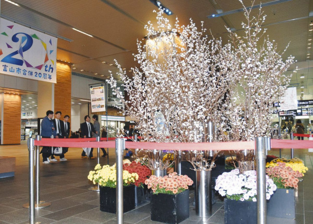 啓翁桜 早春の彩り　富山駅南北自由通路に展示
