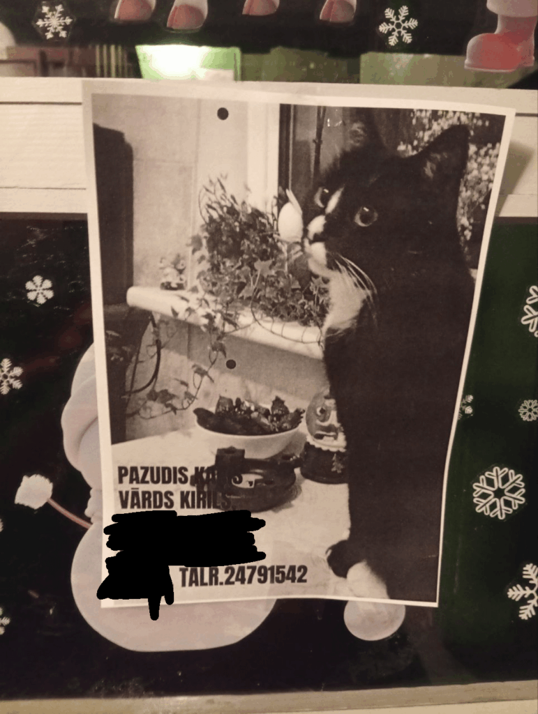 イマンタで猫が行方不明！