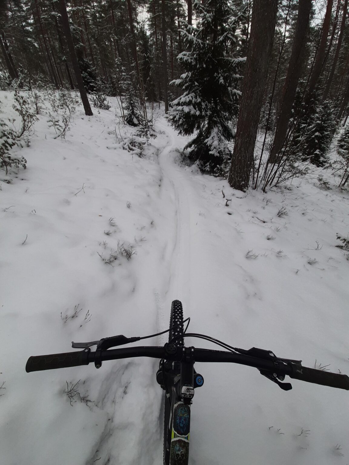 サーモンMTBレール