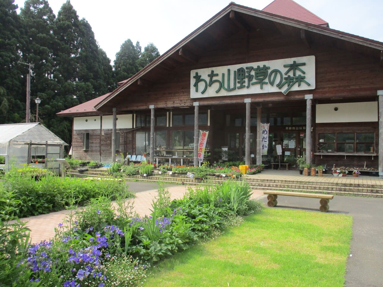 わち山野草の森