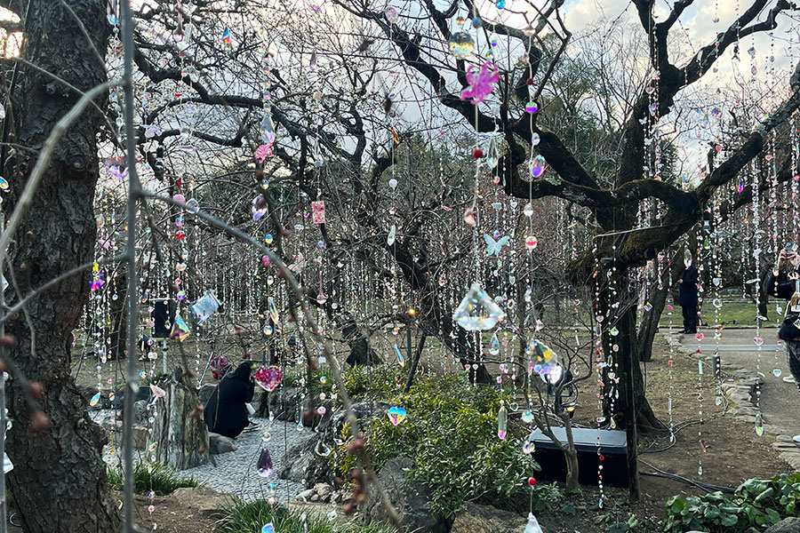 「KYOTO NIPPON FESTIVAL 2026 -時をこえ、華ひらく庭-」の様子（1月29日 Lmaga.jp撮影）