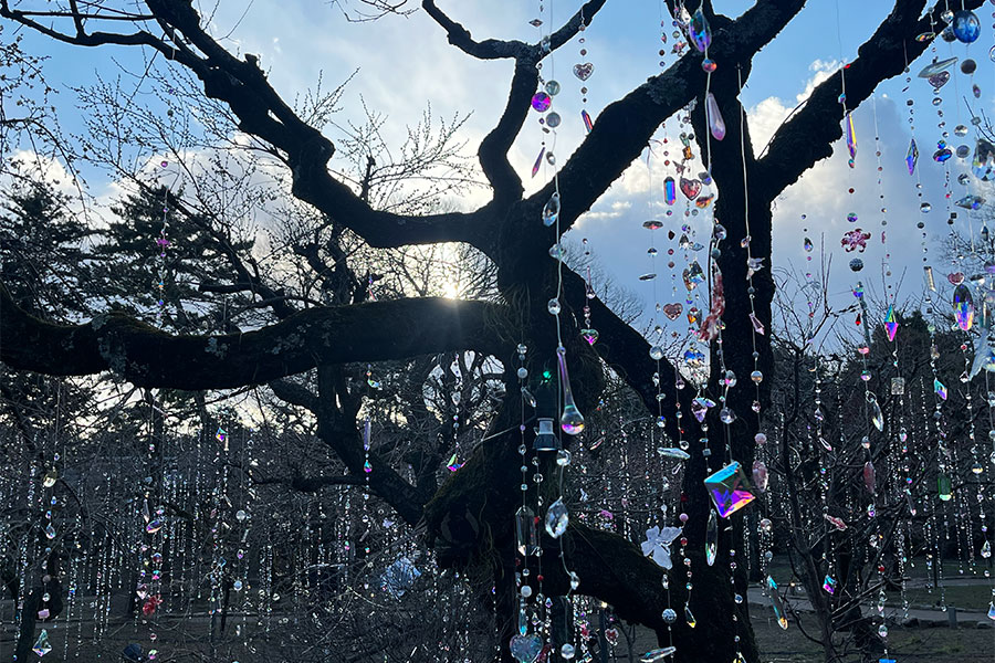 「KYOTO NIPPON FESTIVAL 2026 -時をこえ、華ひらく庭-」の様子（1月29日 Lmaga.jp撮影）