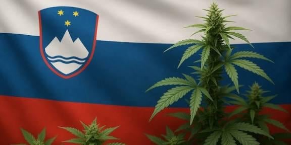 大麻の合法化でこの話はついに終焉を迎えたのだろうか？