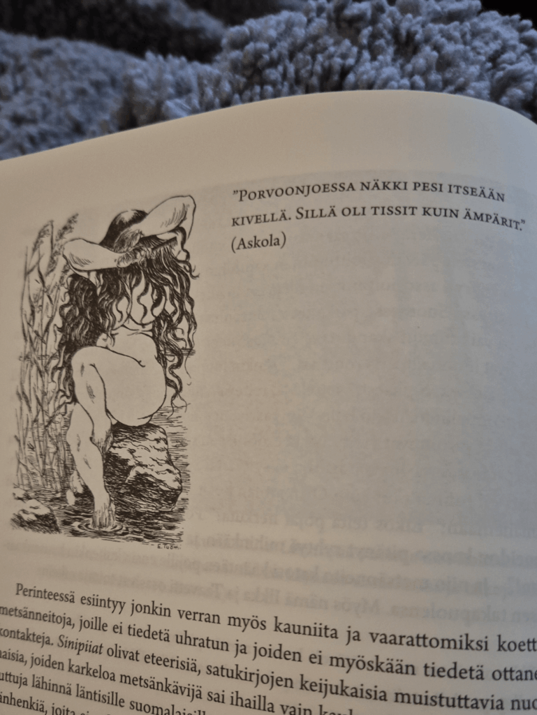 フィンランド人は常に良いバケツを高く評価しています。比喩的にでも。