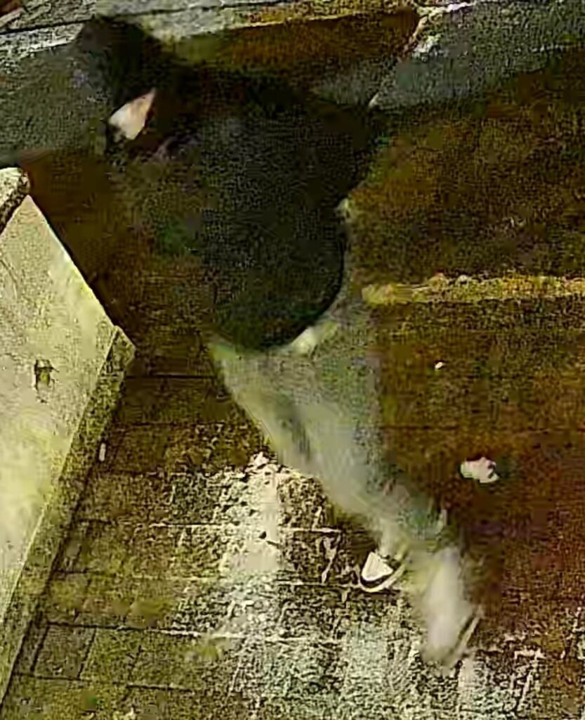 窃盗未遂の写真