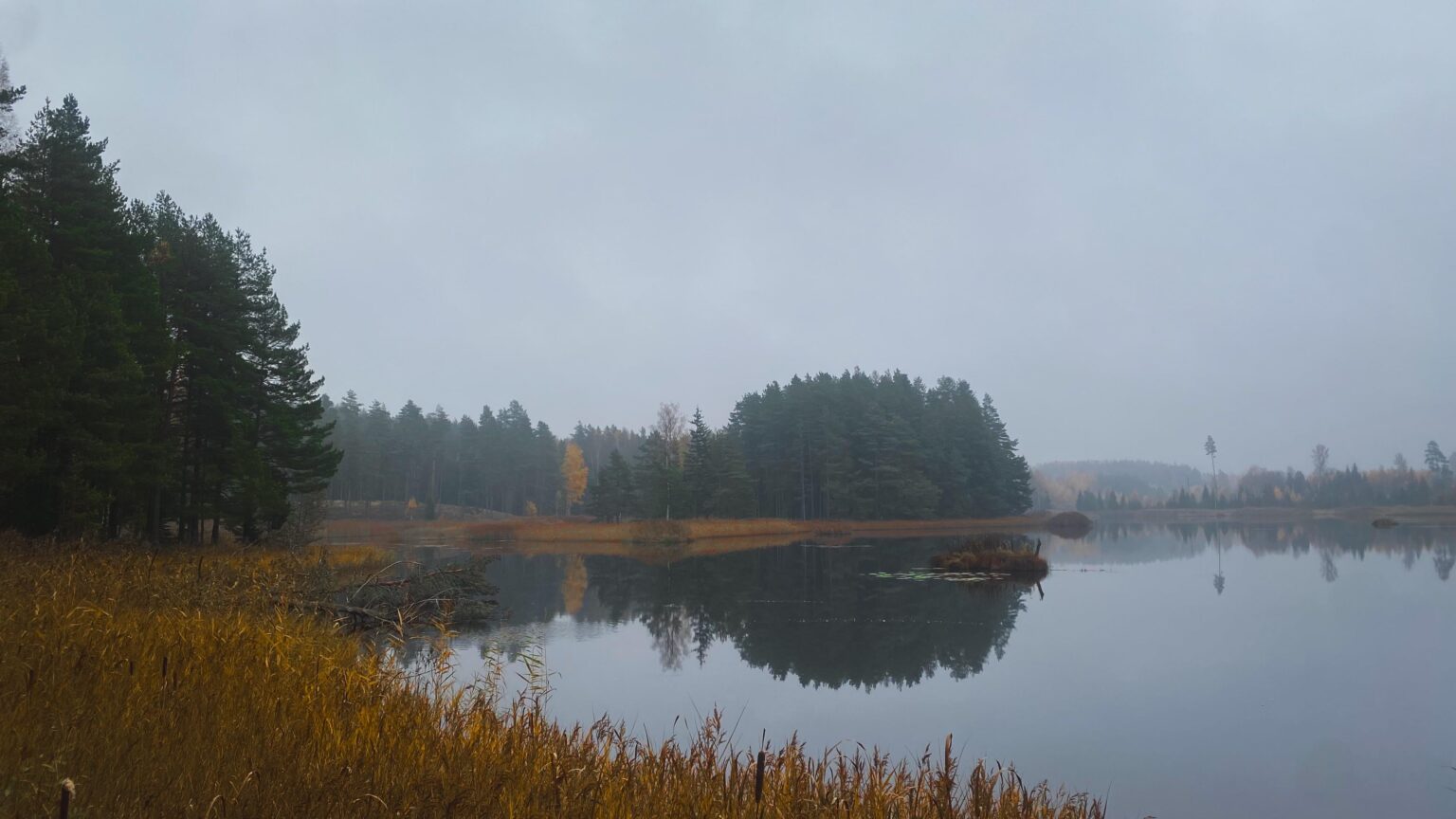 私が撮った写真