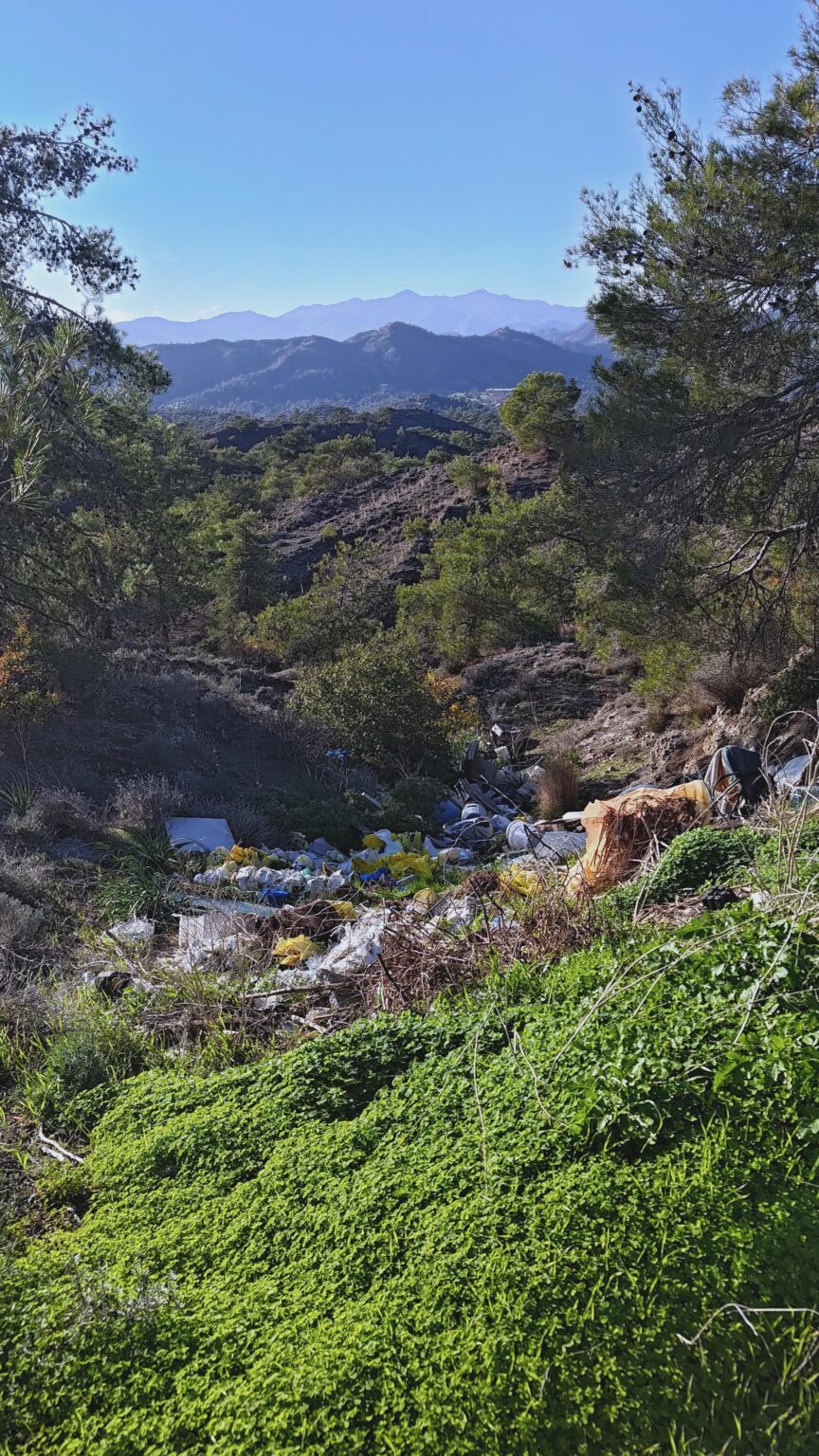 (そうではない) 美しいコルノス