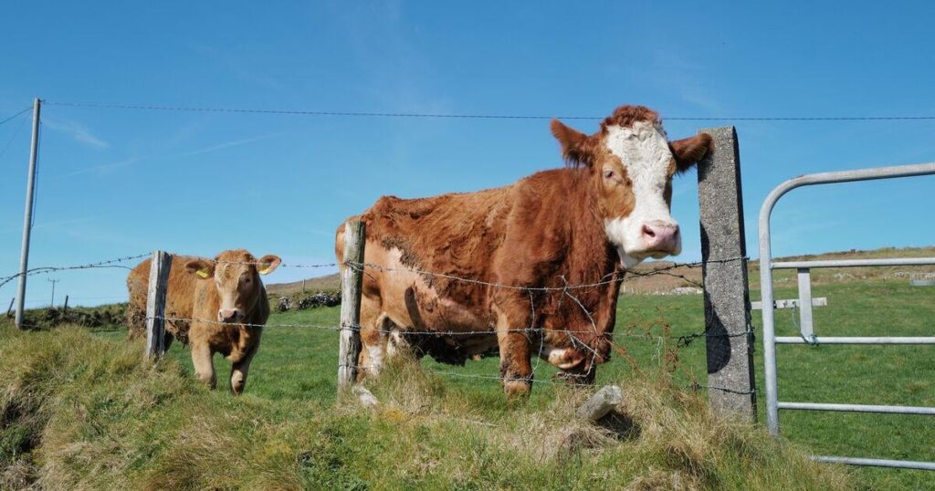 速報：アイルランド、物議を醸すメルコスール合意に反対票を投じる