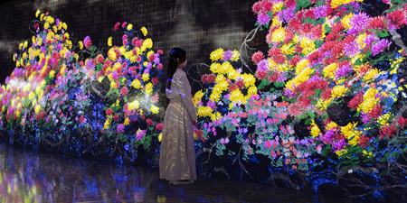 Galaxy Harajuku 2026年1月30日(金)リニューアルOPEN|秋田魁新報電子版 Galaxy Harajuku 2026年1月30日(金)リニューアルOPEN|秋田魁新報電子版