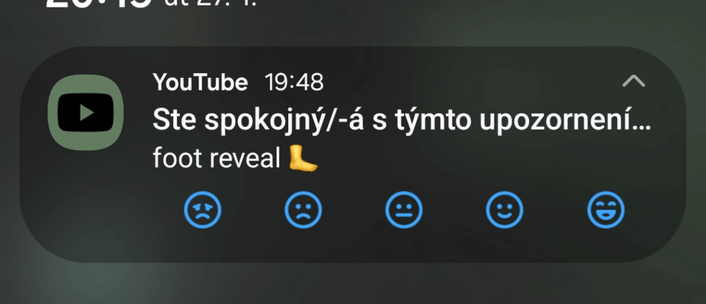 これをどう説明すればいいでしょうか...