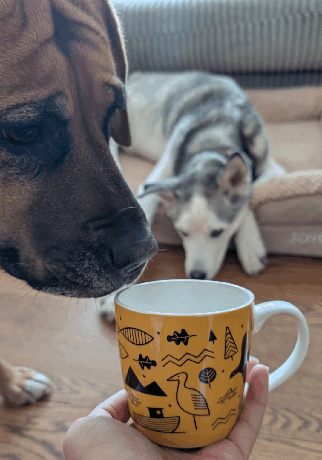 「奇跡を探して」アトランターハフスパルケン コーヒーマグに関する最新情報