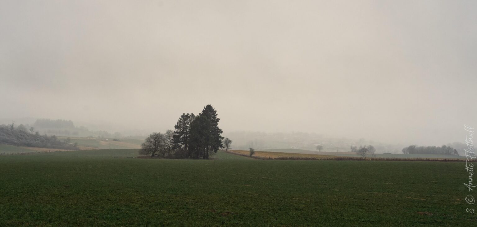 アイスレク霧 今日16:30