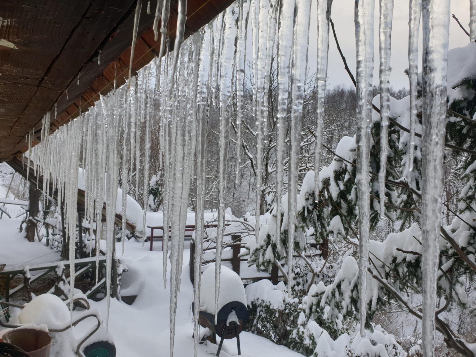 最後にアイスキャンドルを見たのはいつですか?今朝は-12時😅